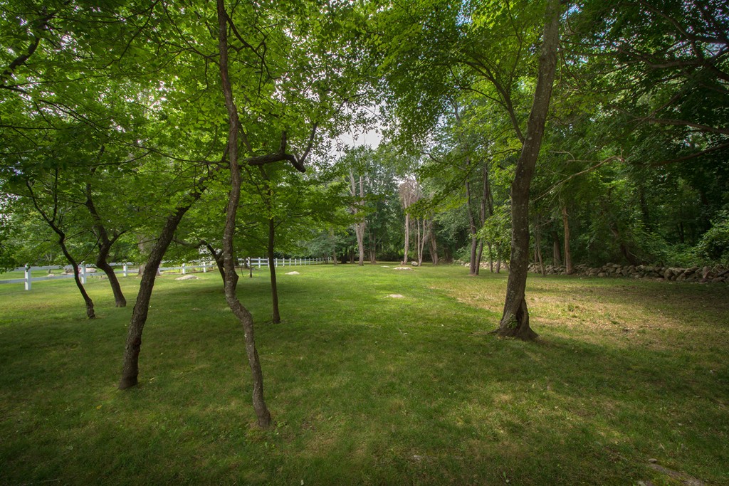 193 Tilden Road Scituate, MA 02066 - Photo 4 of 26