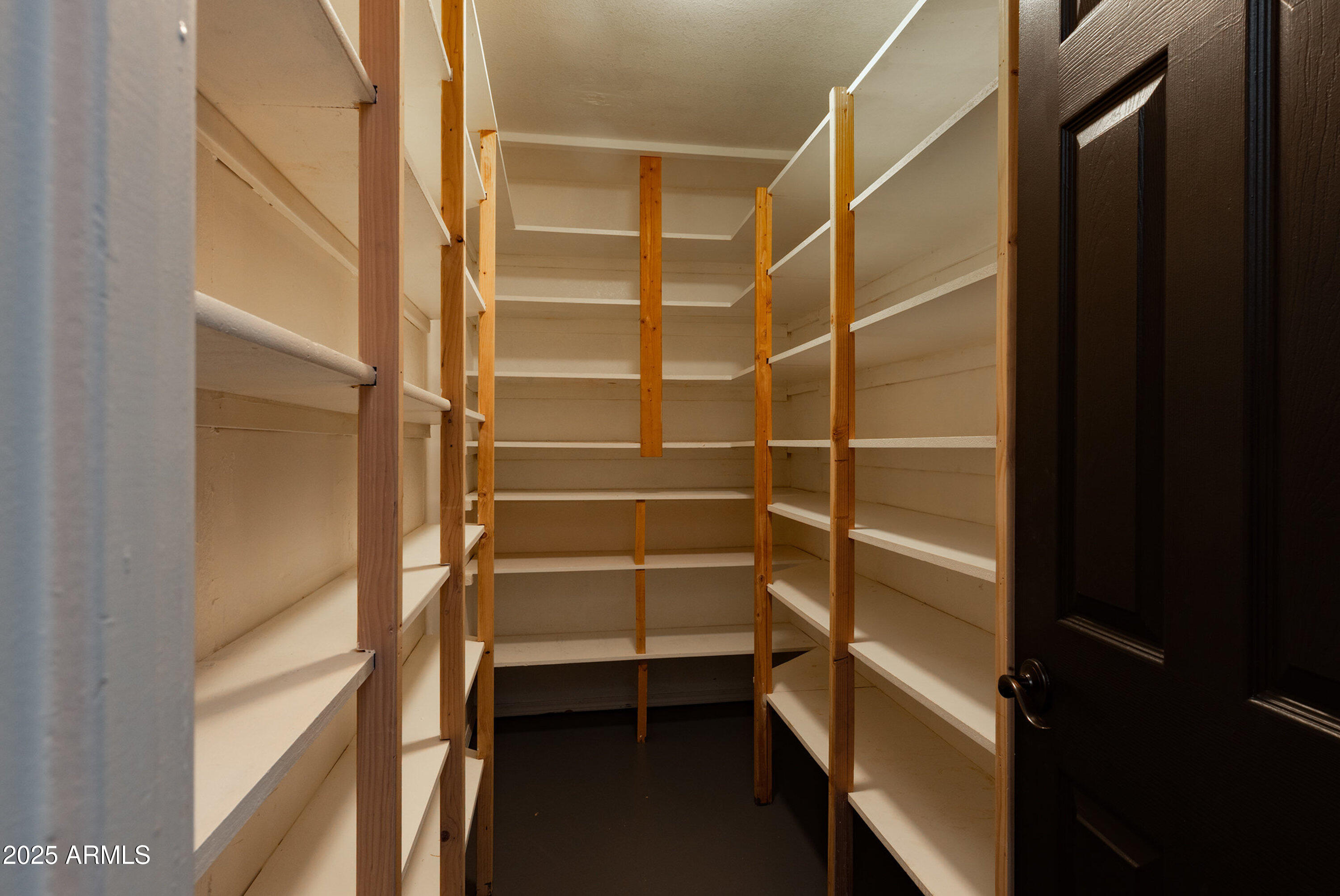 981 Oak Grove Road Show Low, AZ 85901 - Photo 23 of 61 a view of walk in closet with empty racks