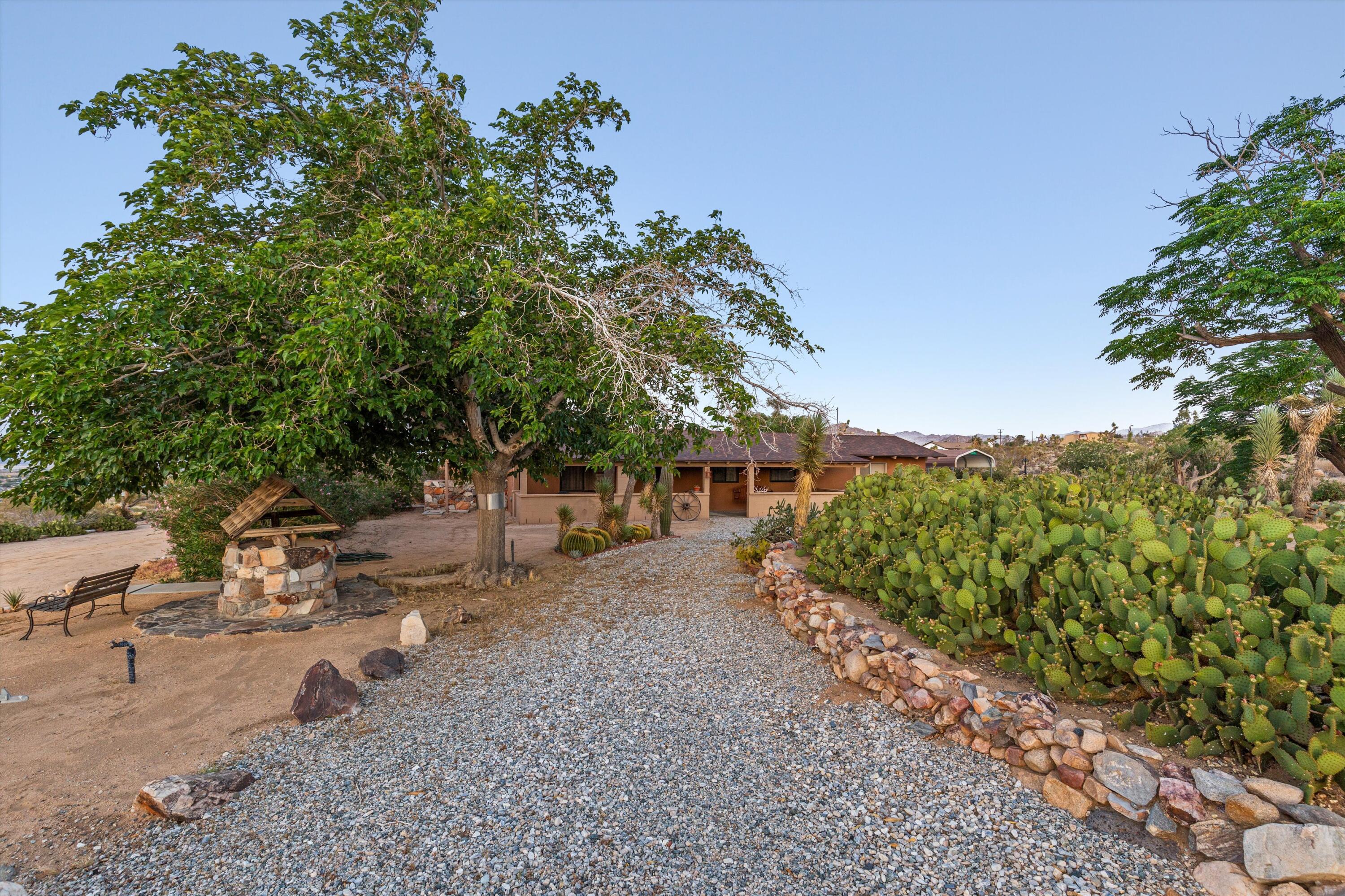 6785 Saddleback Road Joshua Tree, CA 92252 - Photo 13 of 50 a view of a dry yard with trees