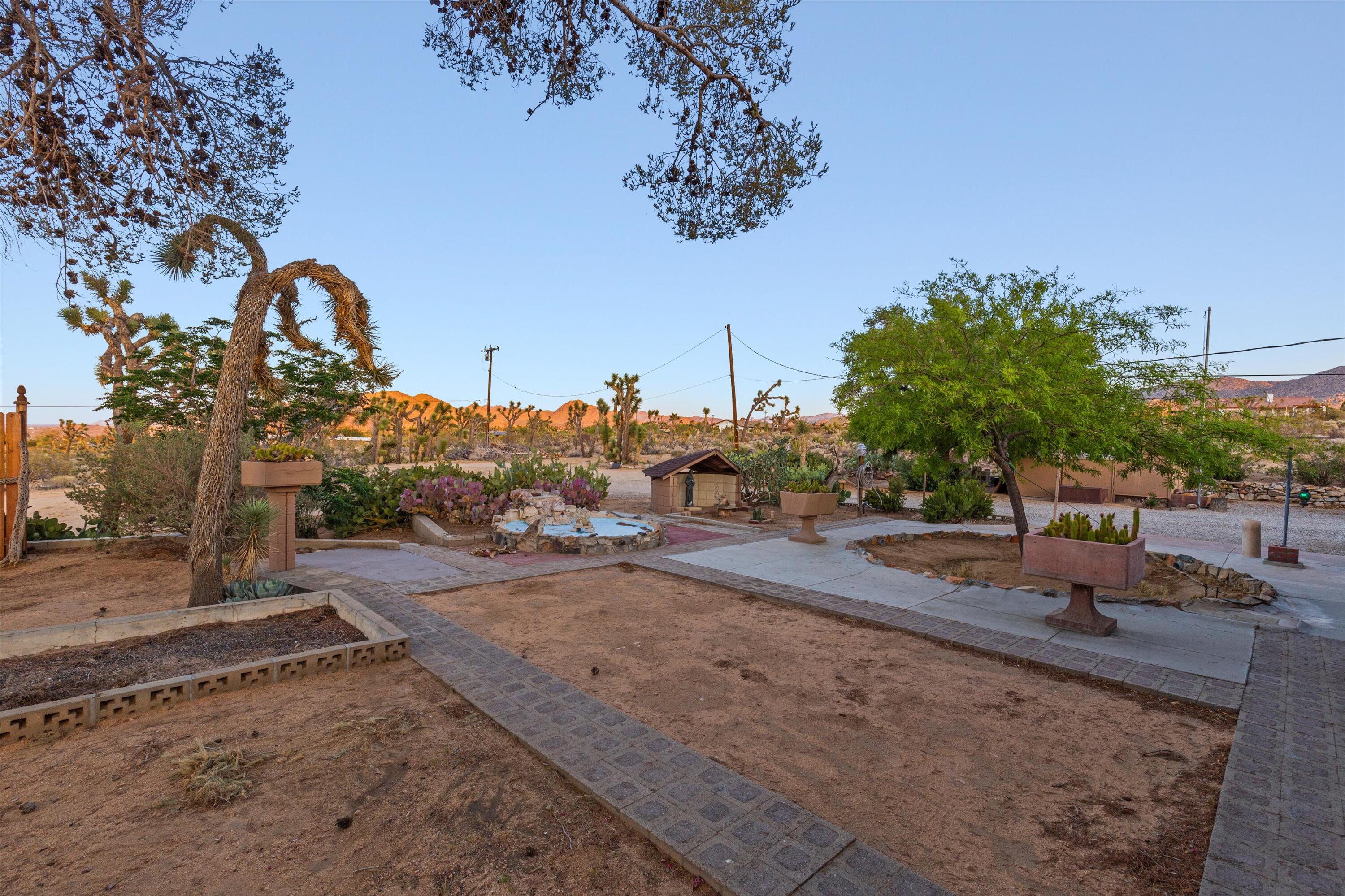 6785 Saddleback Road Joshua Tree, CA 92252 - Photo 29 of 50 a view of a outdoor space