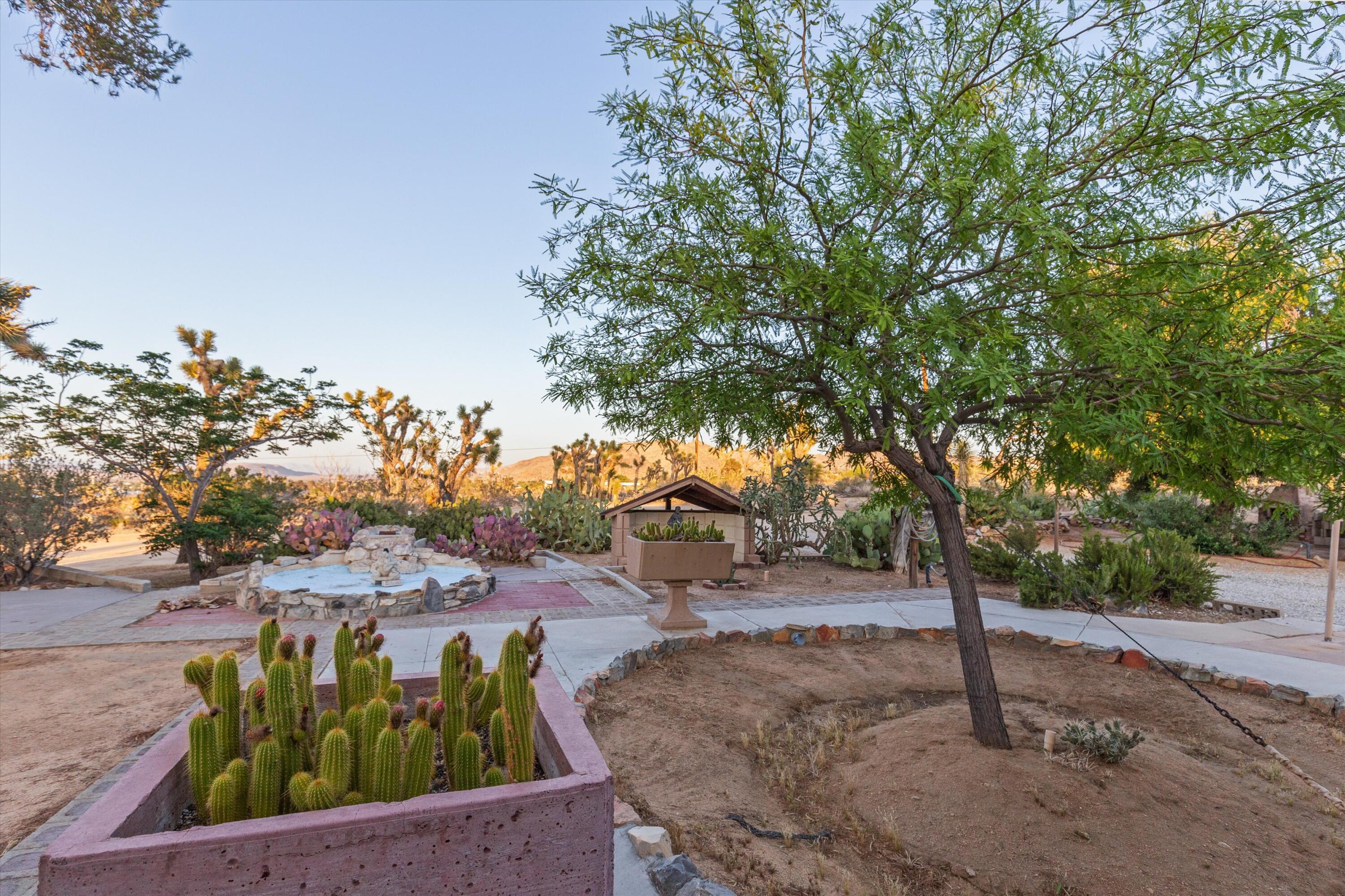 6785 Saddleback Road Joshua Tree, CA 92252 - Photo 34 of 50 a view of a park with large trees