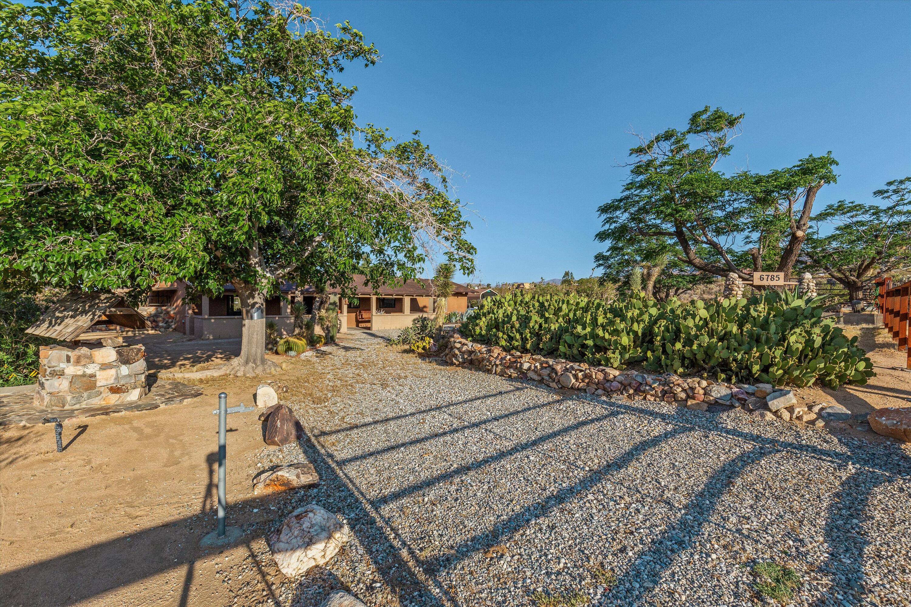 6785 Saddleback Road Joshua Tree, CA 92252 - Photo 5 of 50 a view of a backyard with plants