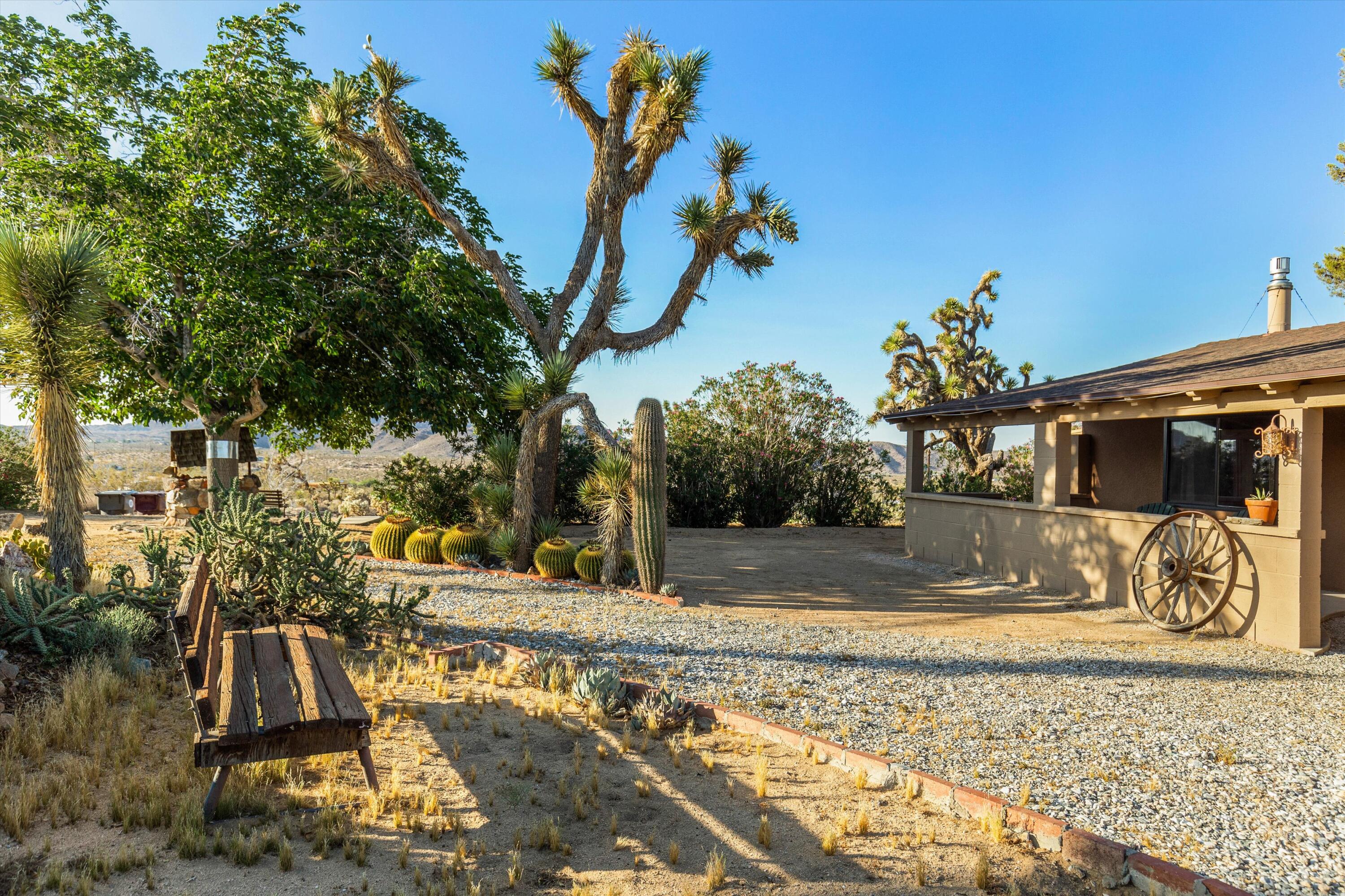 6785 Saddleback Road Joshua Tree, CA 92252 - Photo 7 of 50 a view of a yard
