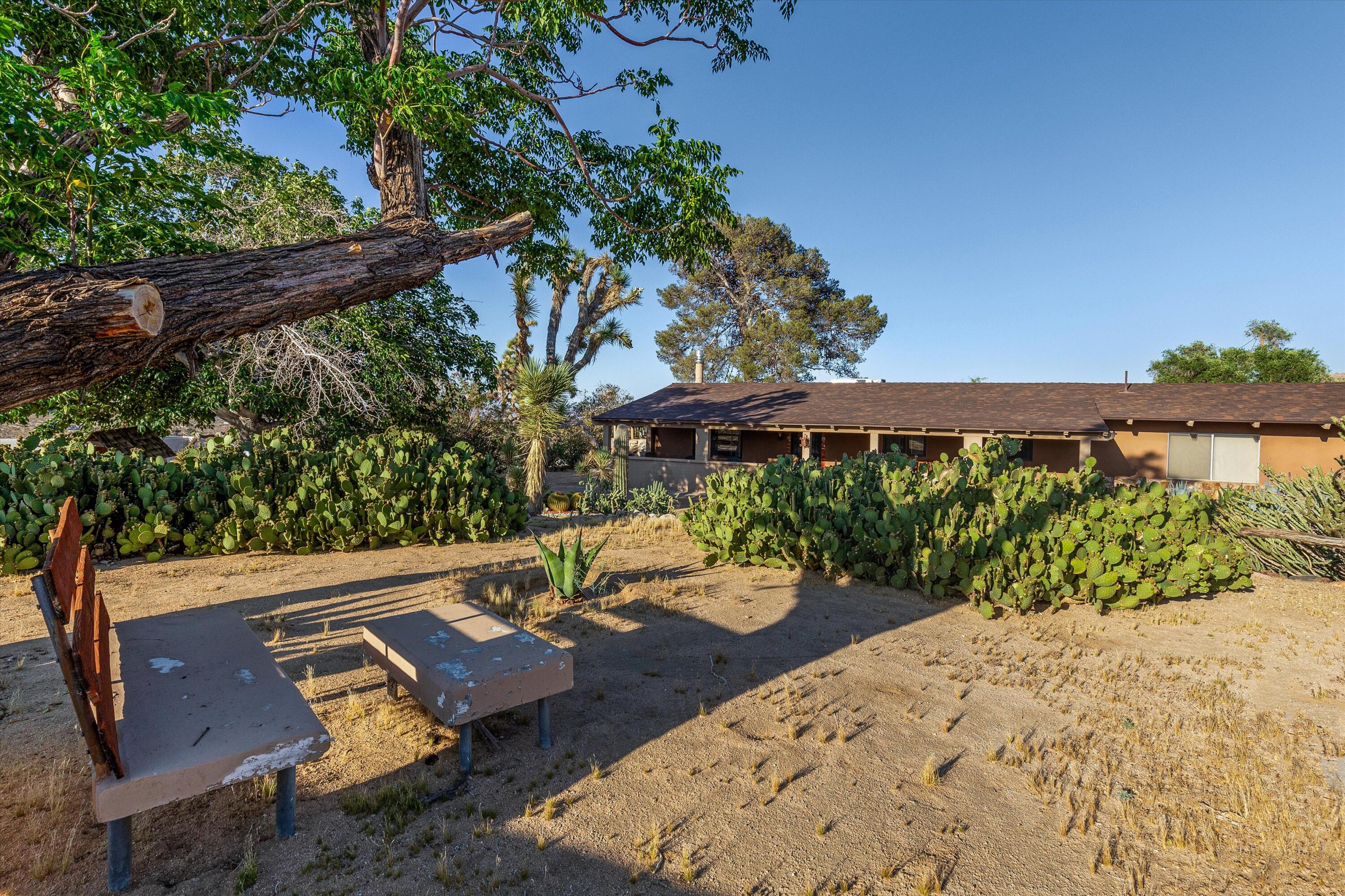 6785 Saddleback Road Joshua Tree, CA 92252 - Photo 9 of 50 an outdoor view with patio