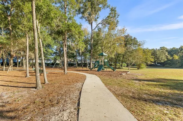 a view of a yard with palm trees