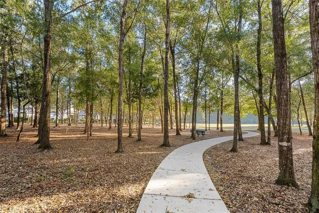 a park with lots of trees and plants