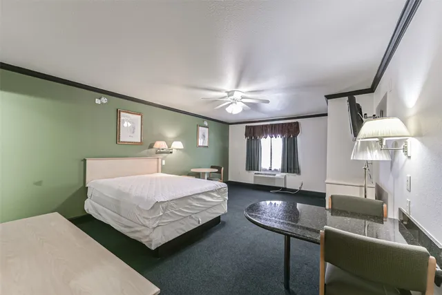 a bedroom with a bed window and couch