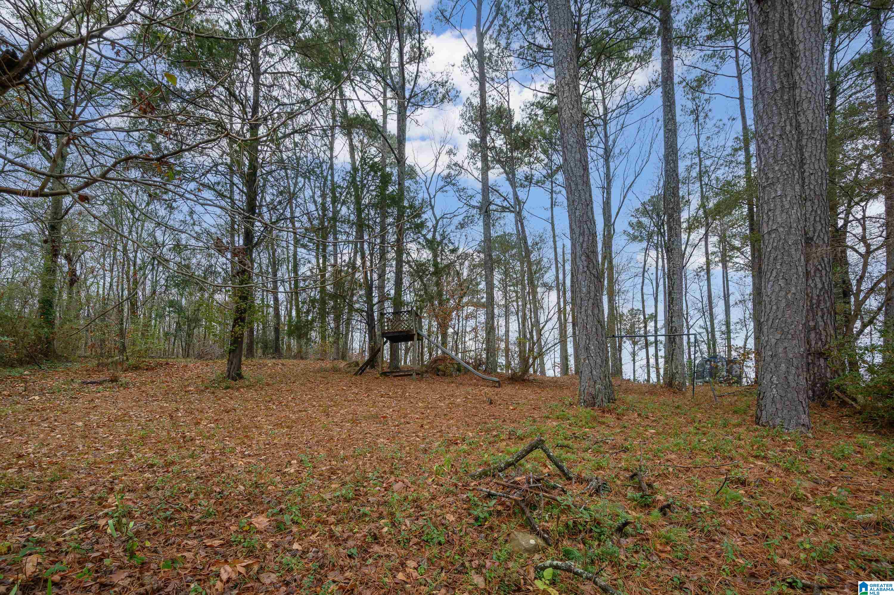 4792 Trussville Clay Road Trussville, AL 35173 - Photo 56 of 56