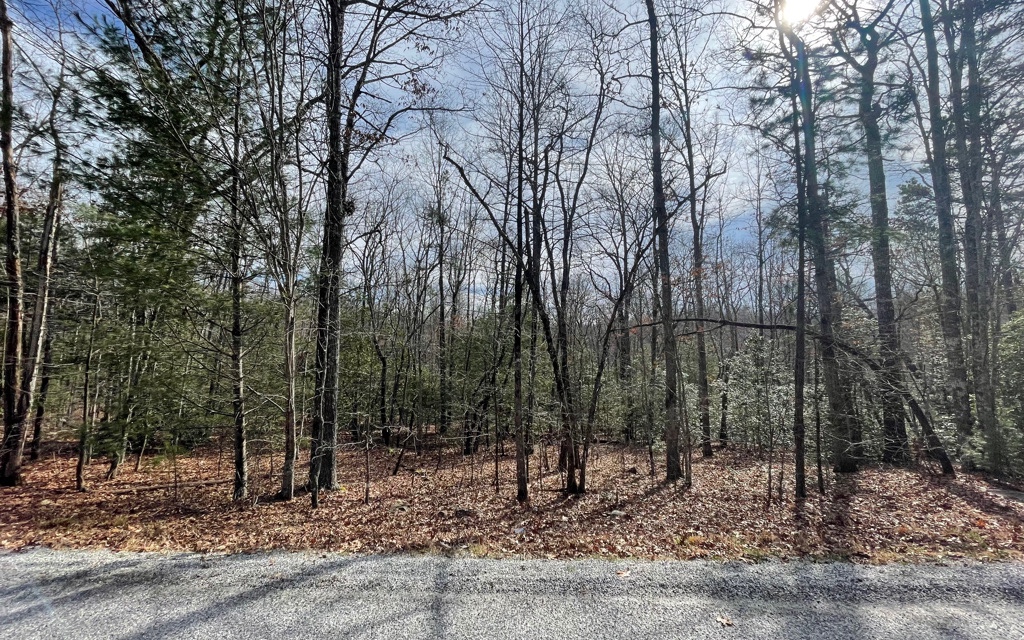 5.9-ac Voylestown Road Morganton, GA 30560 - Photo 4 of 22 Additional View