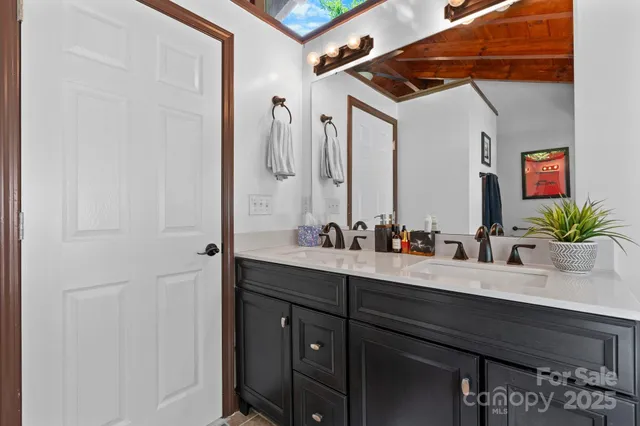 a bathroom with a sink a mirror and a potted plant