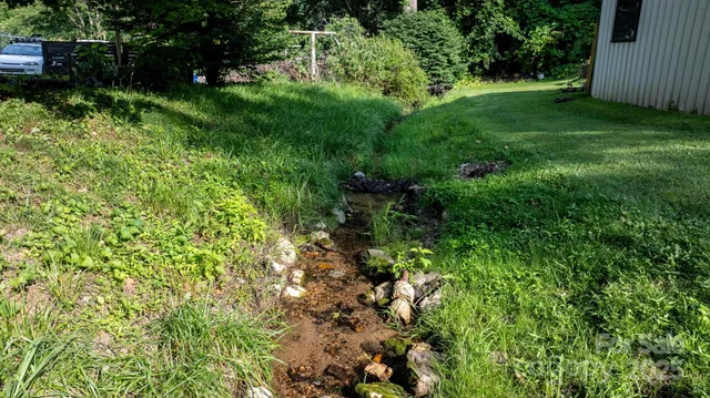 a view of a yard with a tree