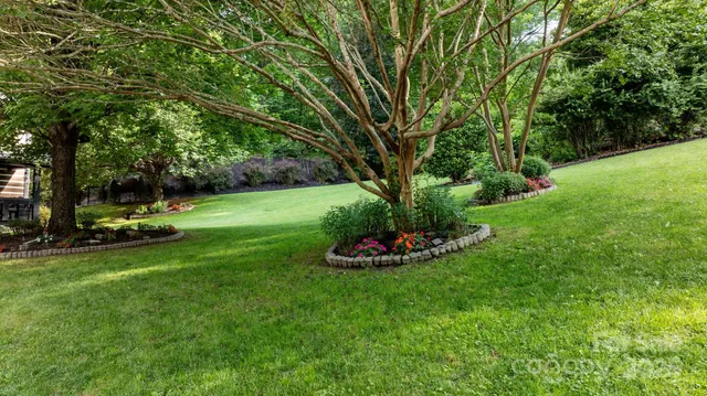 a view of a backyard with large trees
