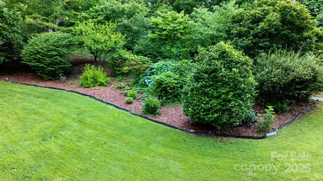 a view of a garden with a plants