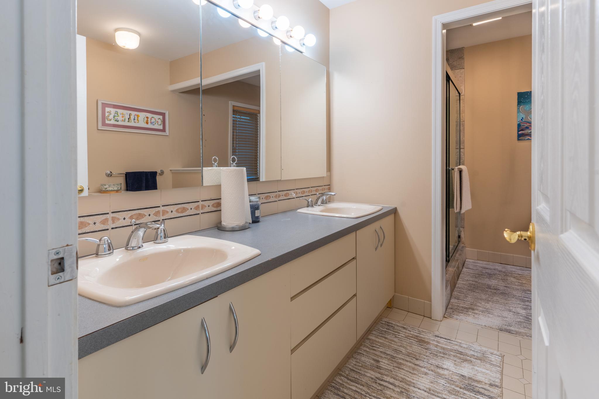 925 Morgan Road Jenkintown, PA 19046 - Photo 69 of 83 a bathroom with a sink and a mirror
