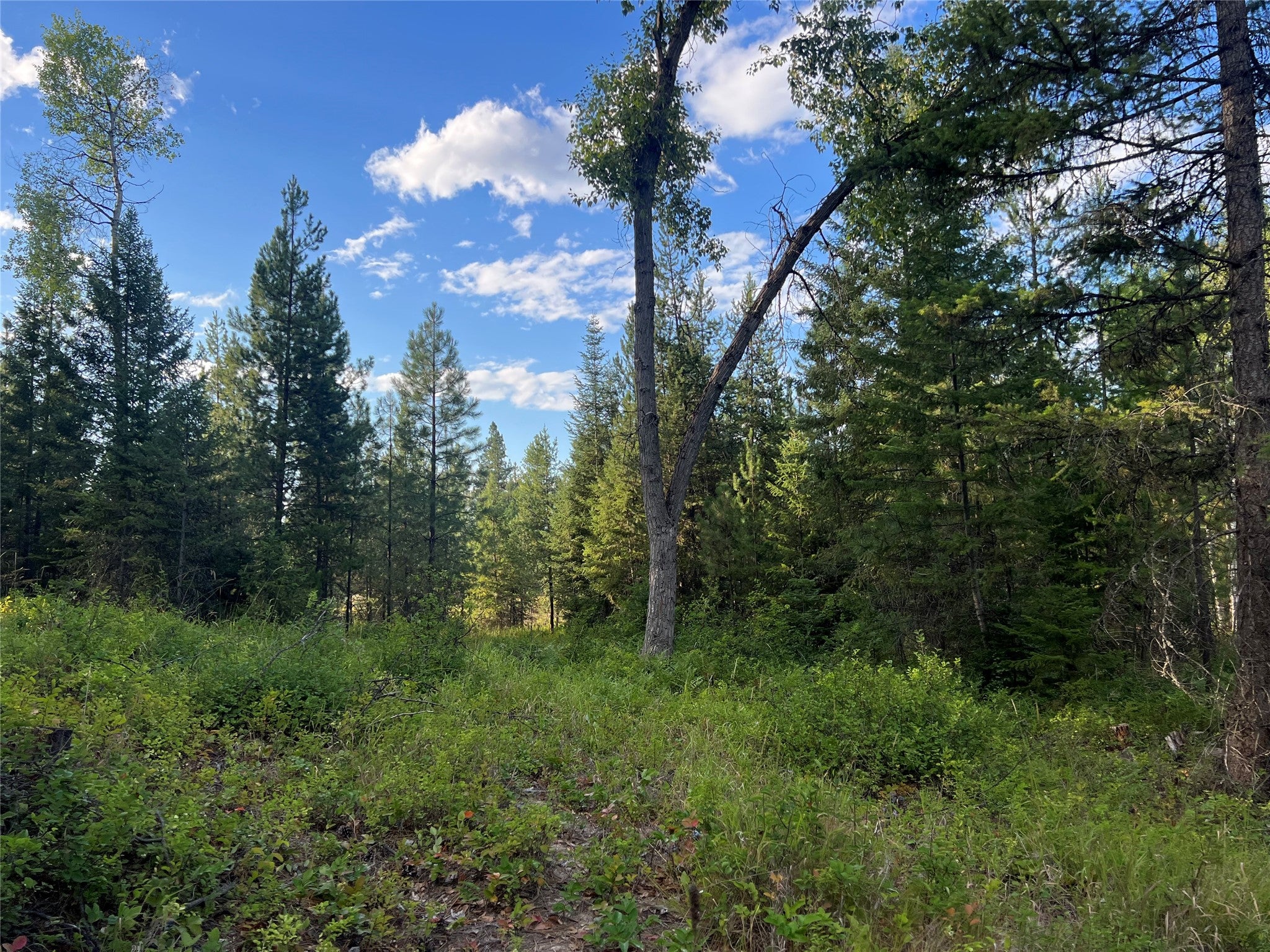 Tbd Granite Lake Road, Unit 6 Libby, MT 59923 - Photo 3 of 6 Gallery Image 3