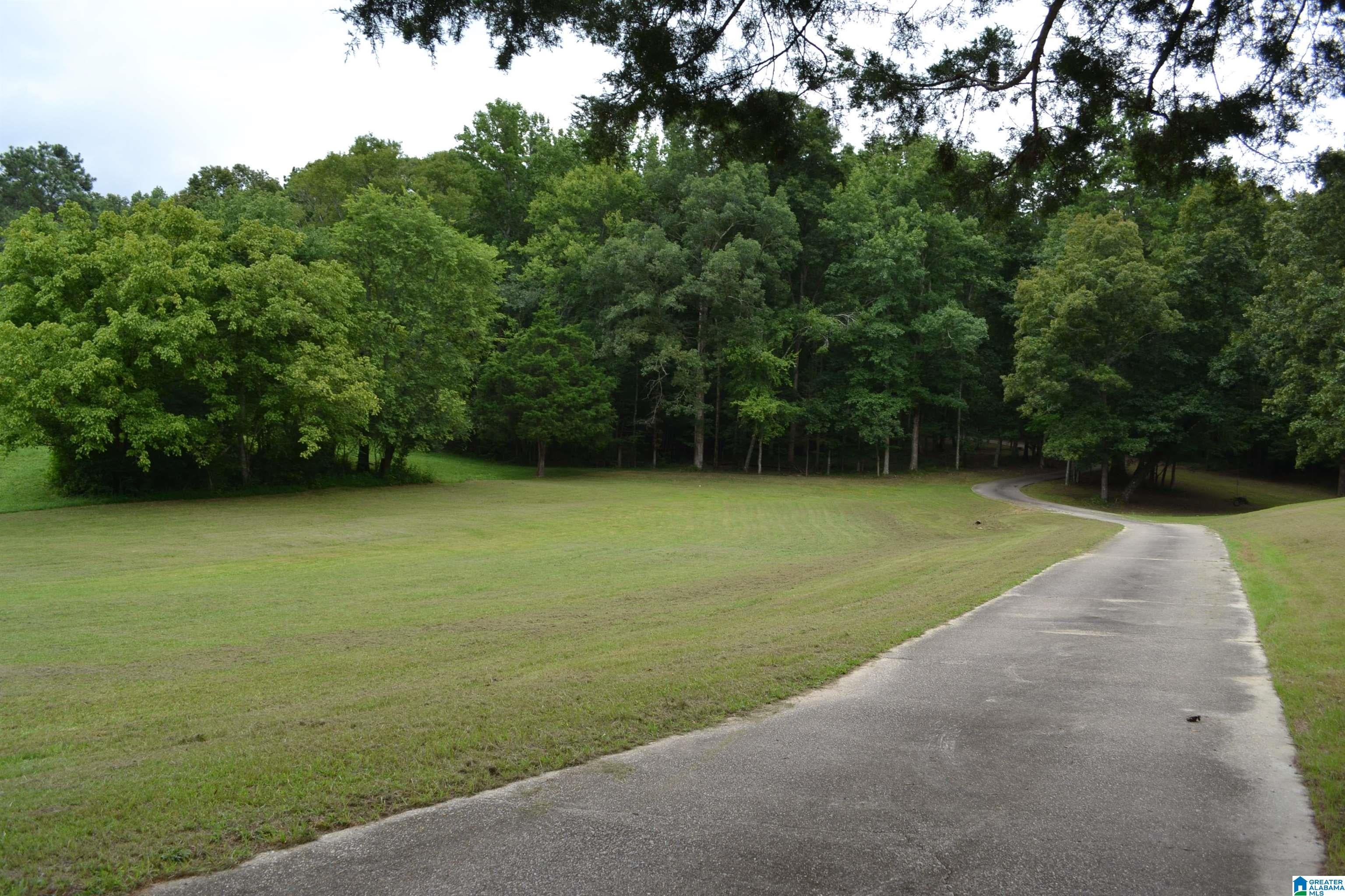 3168 Tidwell Hollow Road Oneonta, AL 35121 - Photo 38 of 78 Gallery Image 38