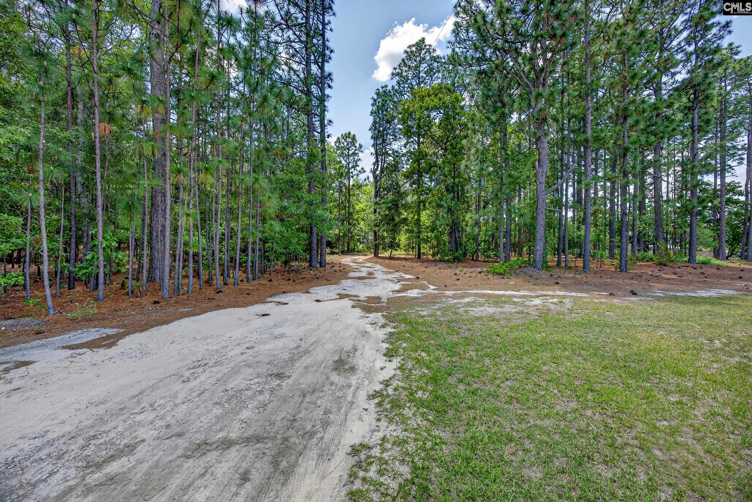 614 Longs Pond Road Lexington, SC 29073 - Photo 70 of 74