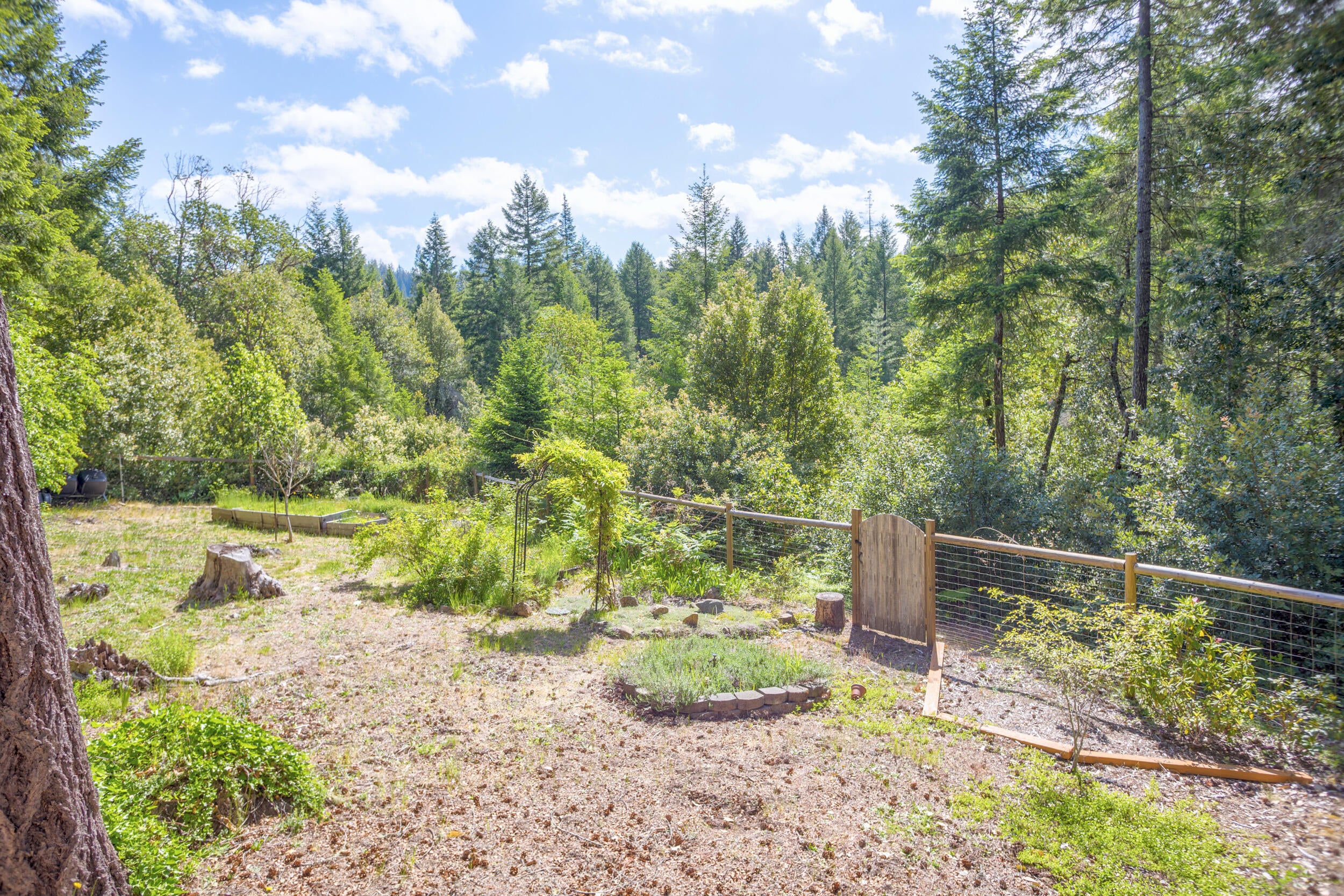 724 3 Mill Road Selma, OR 97538 - Photo 36 of 57 13_0r1a0190b_1b_2b_3b_4bb