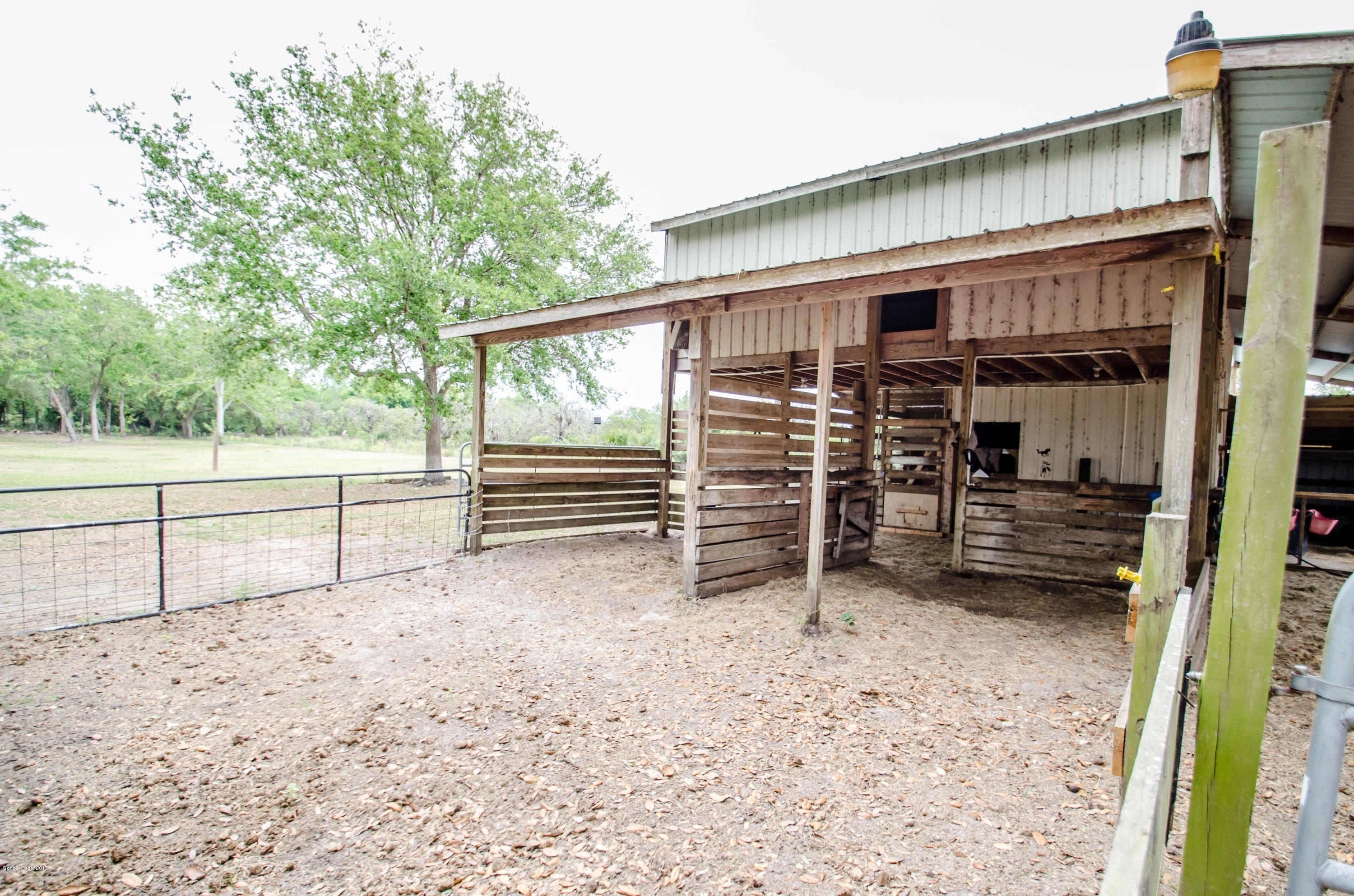 3100 Davis Road Mims, FL 32754 - Photo 43 of 54 Stables