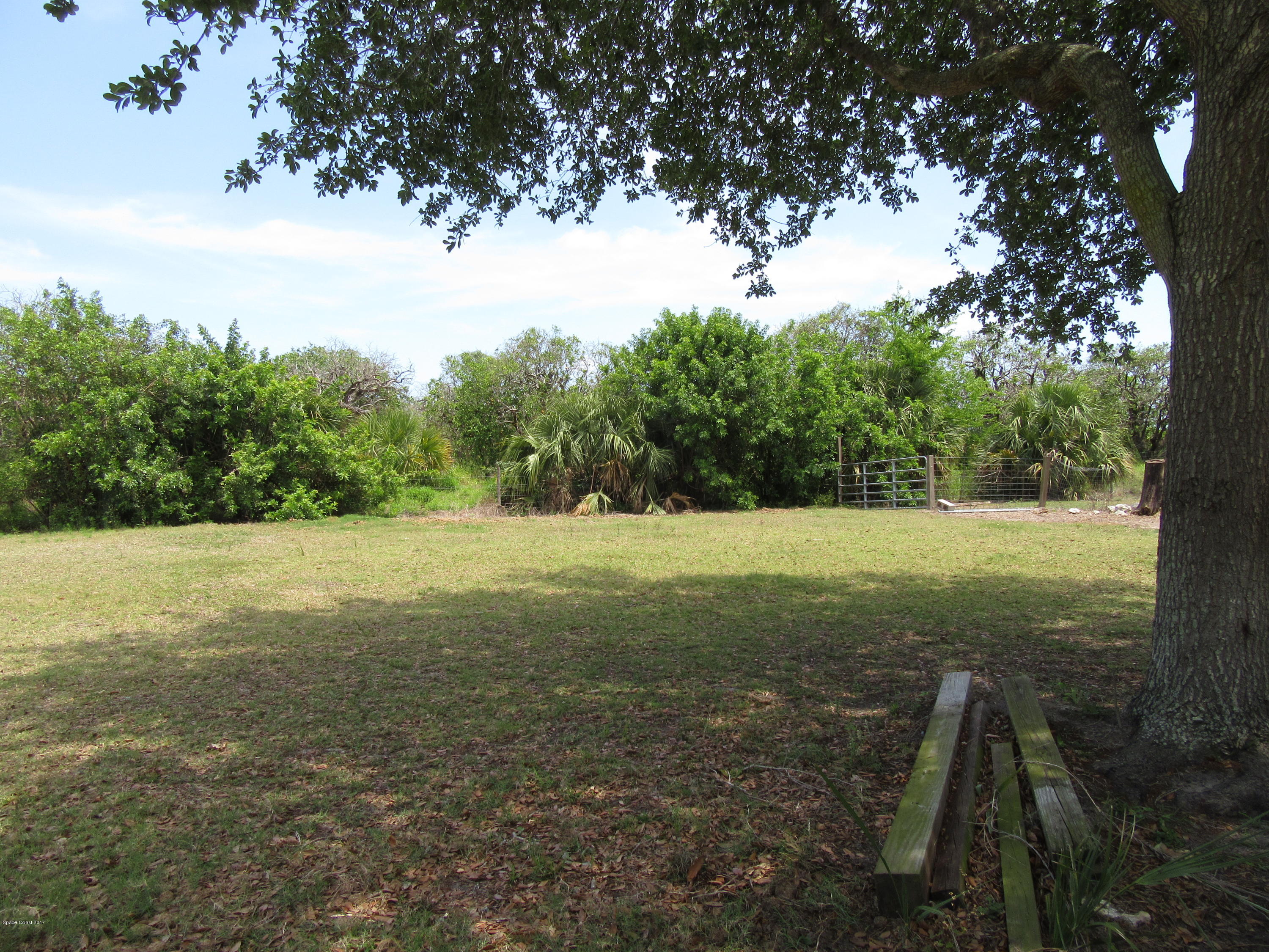 3100 Davis Road Mims, FL 32754 - Photo 47 of 54 2 and 1/2 acres of pasture