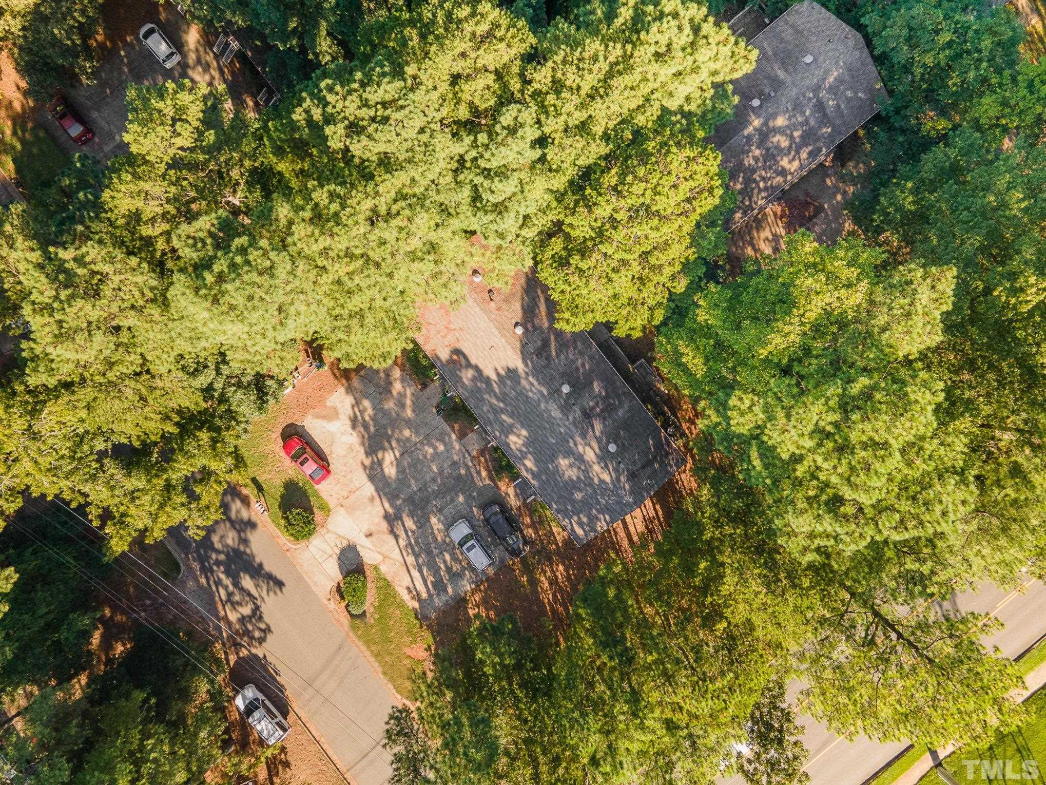 3700 Greenleaf Street Raleigh, NC 27606 - Photo 13 of 13 a close up of a plant in a garden