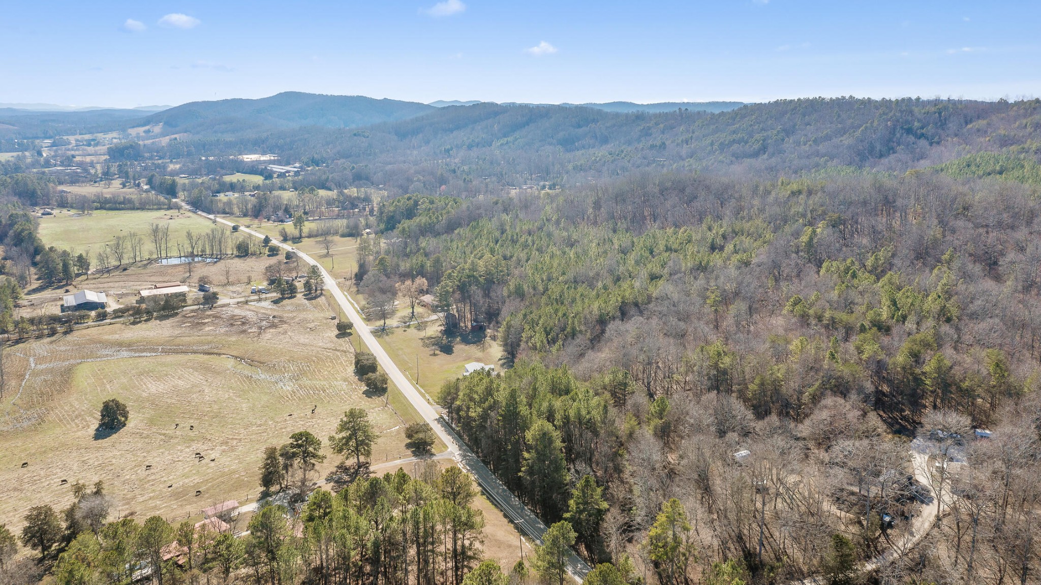 0 Bandy Road Tunnel Hill, GA 30755 - Photo 12 of 20 Gallery Image 12