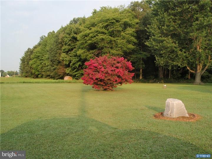 405 Kersey Road Viola, DE 19979 - Photo 20 of 25 Gallery Image 20