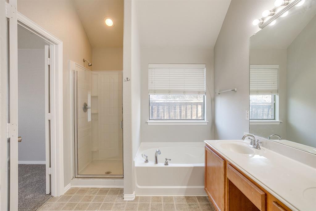 928 Remington Ranch Road Mansfield, TX 76063 - Photo 12 of 20 a bathroom with a tub sink shower and a mirror
