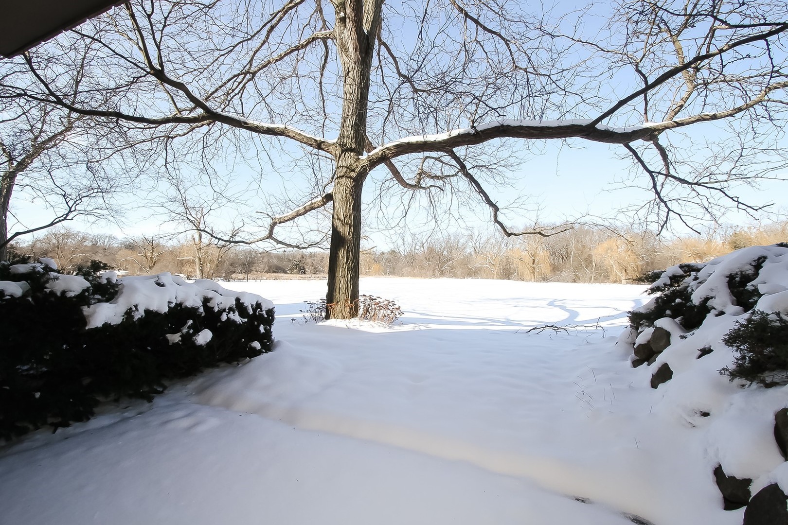 842 Oak Hill Road Lake Barrington, IL 60010 - Photo 29 of 36 a view of a yard of a house