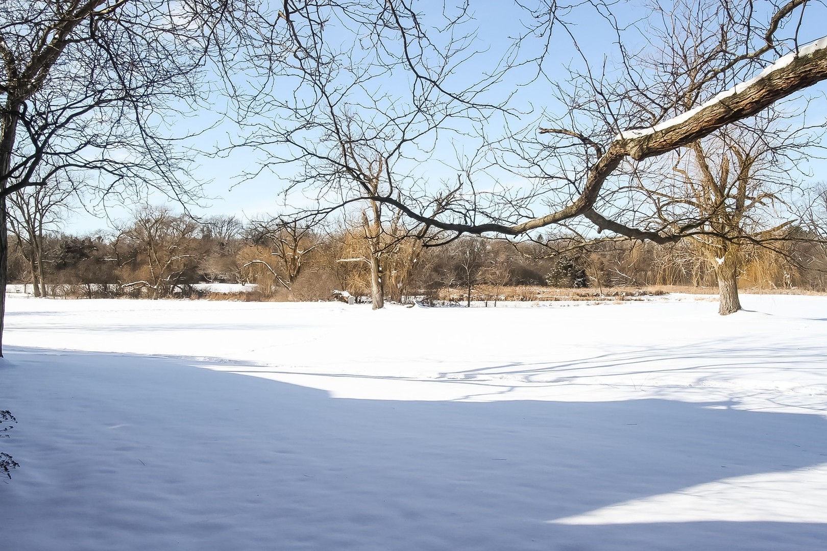 842 Oak Hill Road Lake Barrington, IL 60010 - Photo 30 of 36 a view of yard covered with snow in front of house