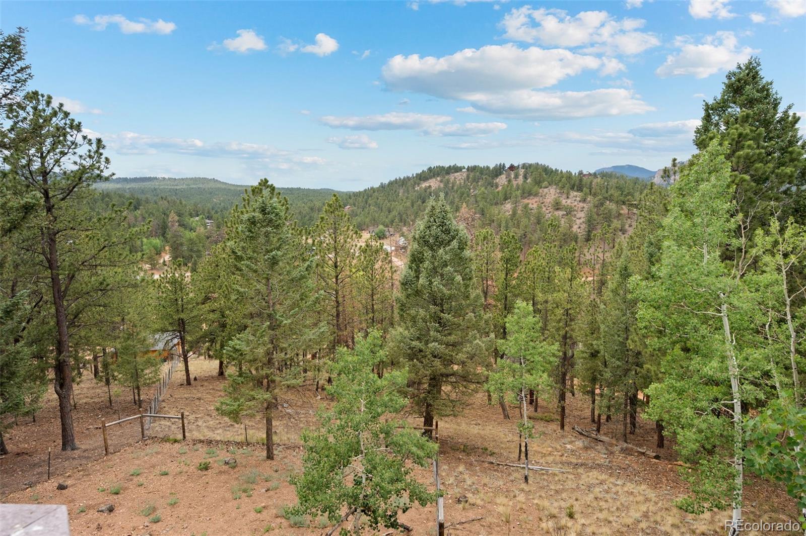 33678 Jenifer Road Pine, CO 80470 - Photo 43 of 48 Gallery Image 43