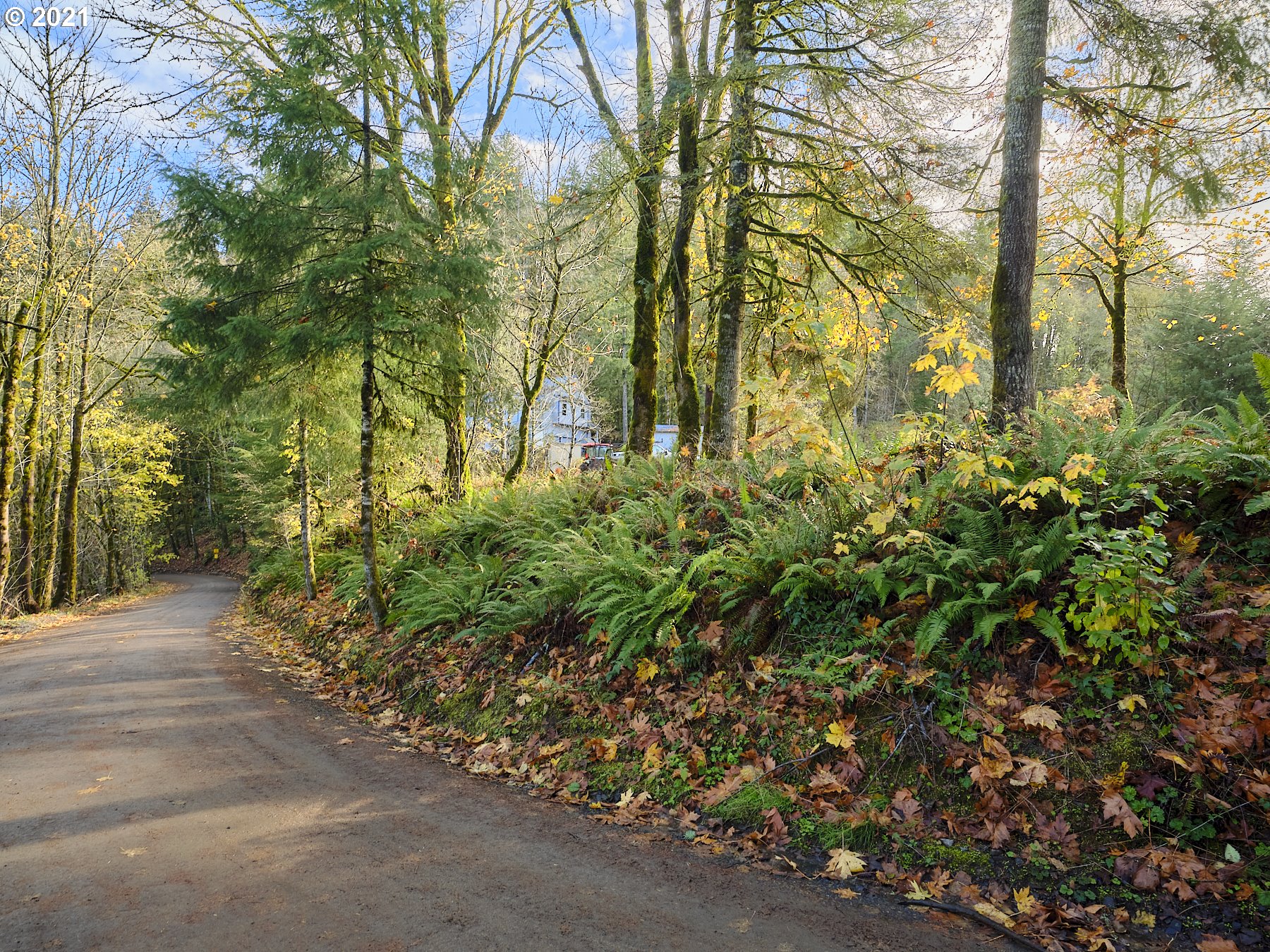 37407 Northeast Beaver Brook Road Yacolt, WA 98675 - Photo 29 of 31 Gallery Image 29