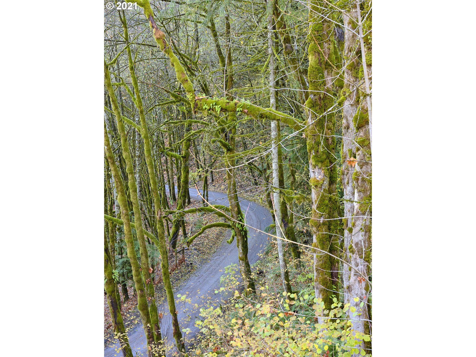 37407 Northeast Beaver Brook Road Yacolt, WA 98675 - Photo 30 of 31 Gallery Image 30
