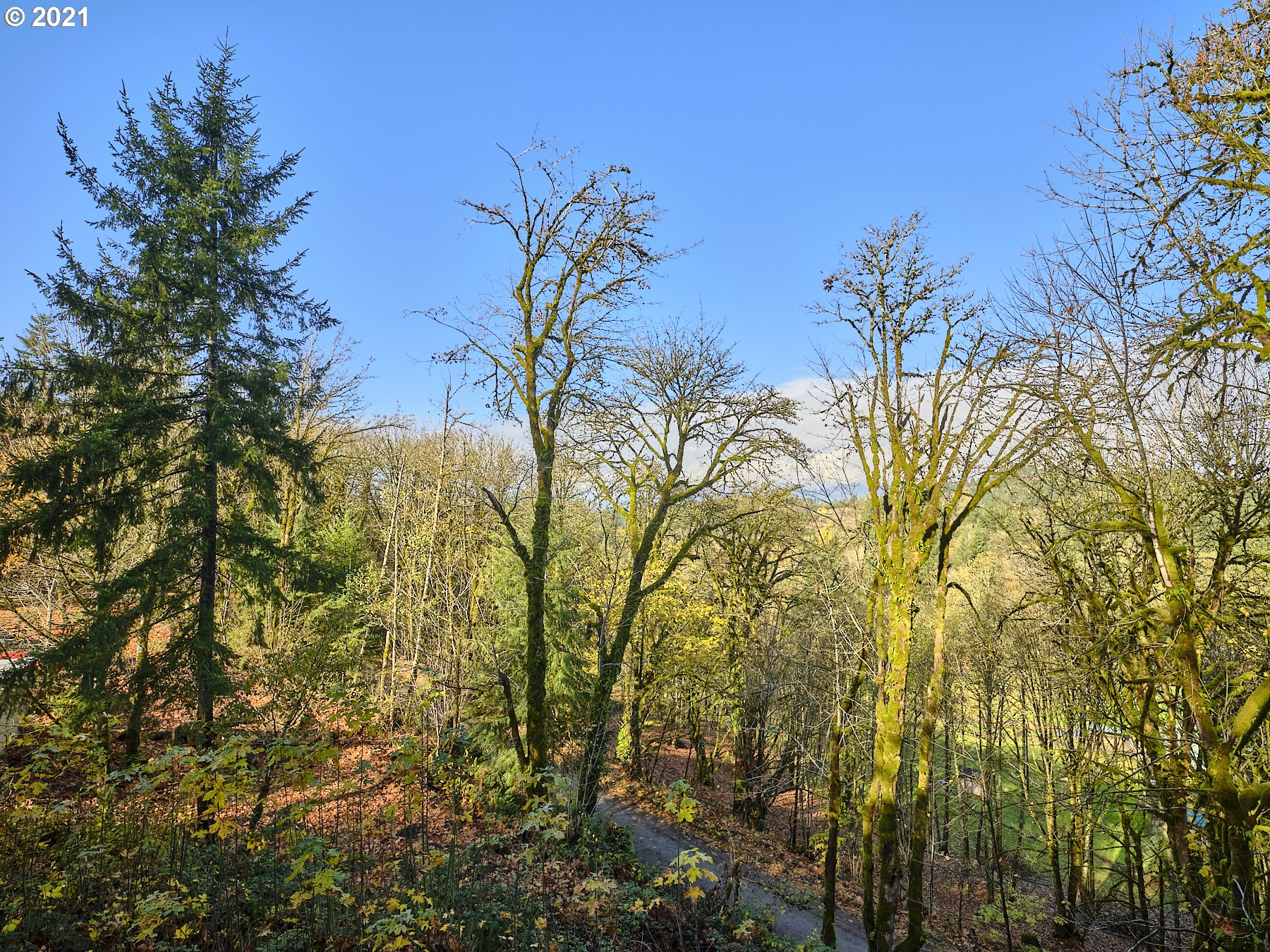 37407 Northeast Beaver Brook Road Yacolt, WA 98675 - Photo 31 of 31 Gallery Image 31