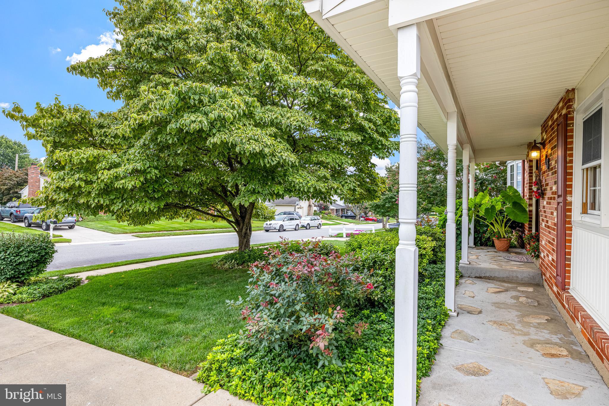 18 Whitfield Road Newark, DE 19711 - Photo 5 of 27 a view of backyard with potted plants and a large tree