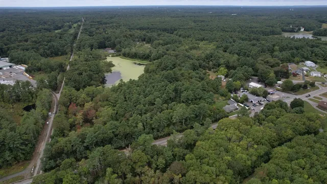 an aerial view of forest
