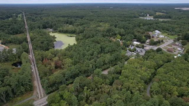 an aerial view of forest