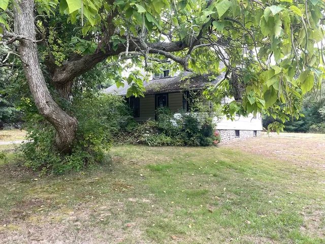 a view of backyard with green space