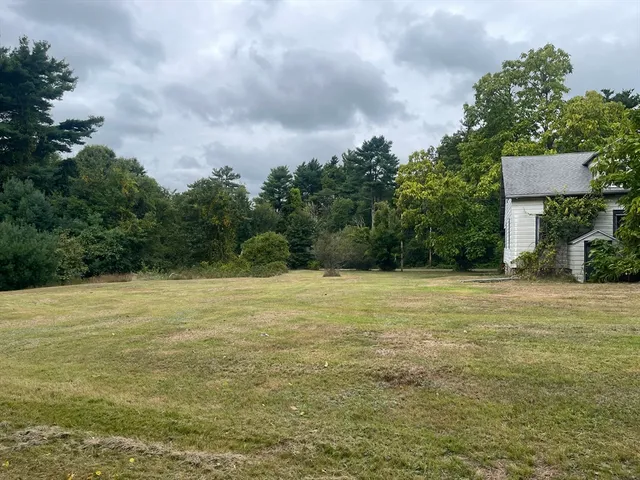 a view of a forest with a street