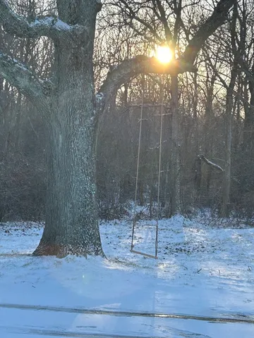 a view of a room with a tree