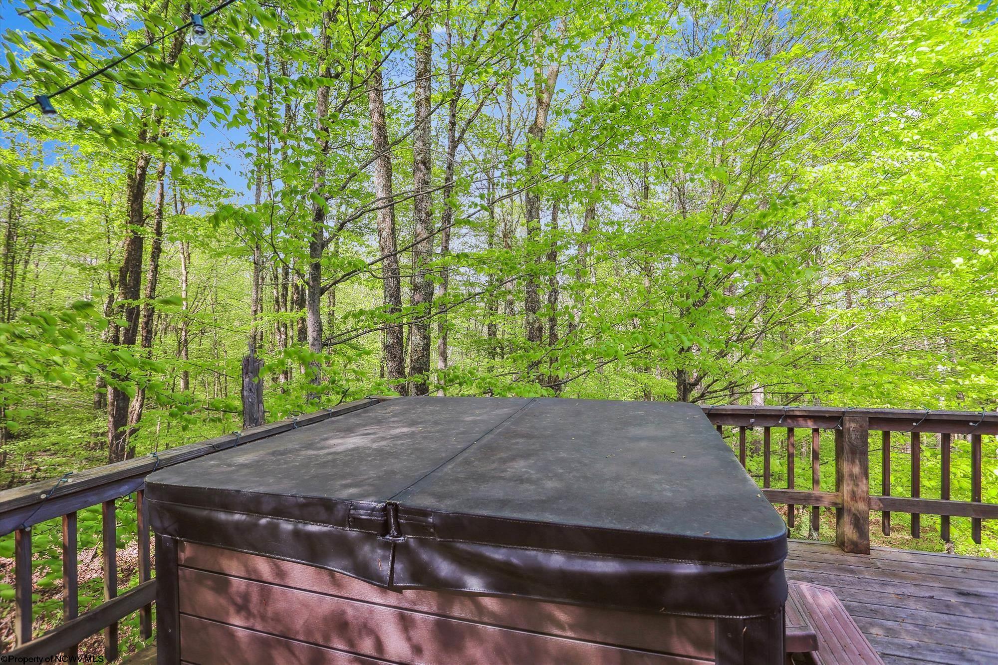 1731 Cabin Mountain Road Davis, WV 26260 - Photo 28 of 40 Gallery Image 28