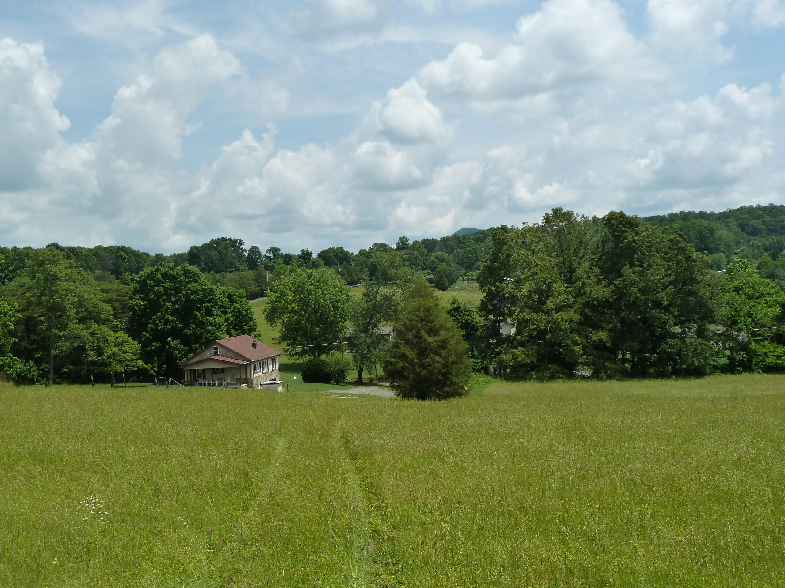 4317 Shipe Road Corryton, TN 37721 - Photo 13 of 14 P1210909