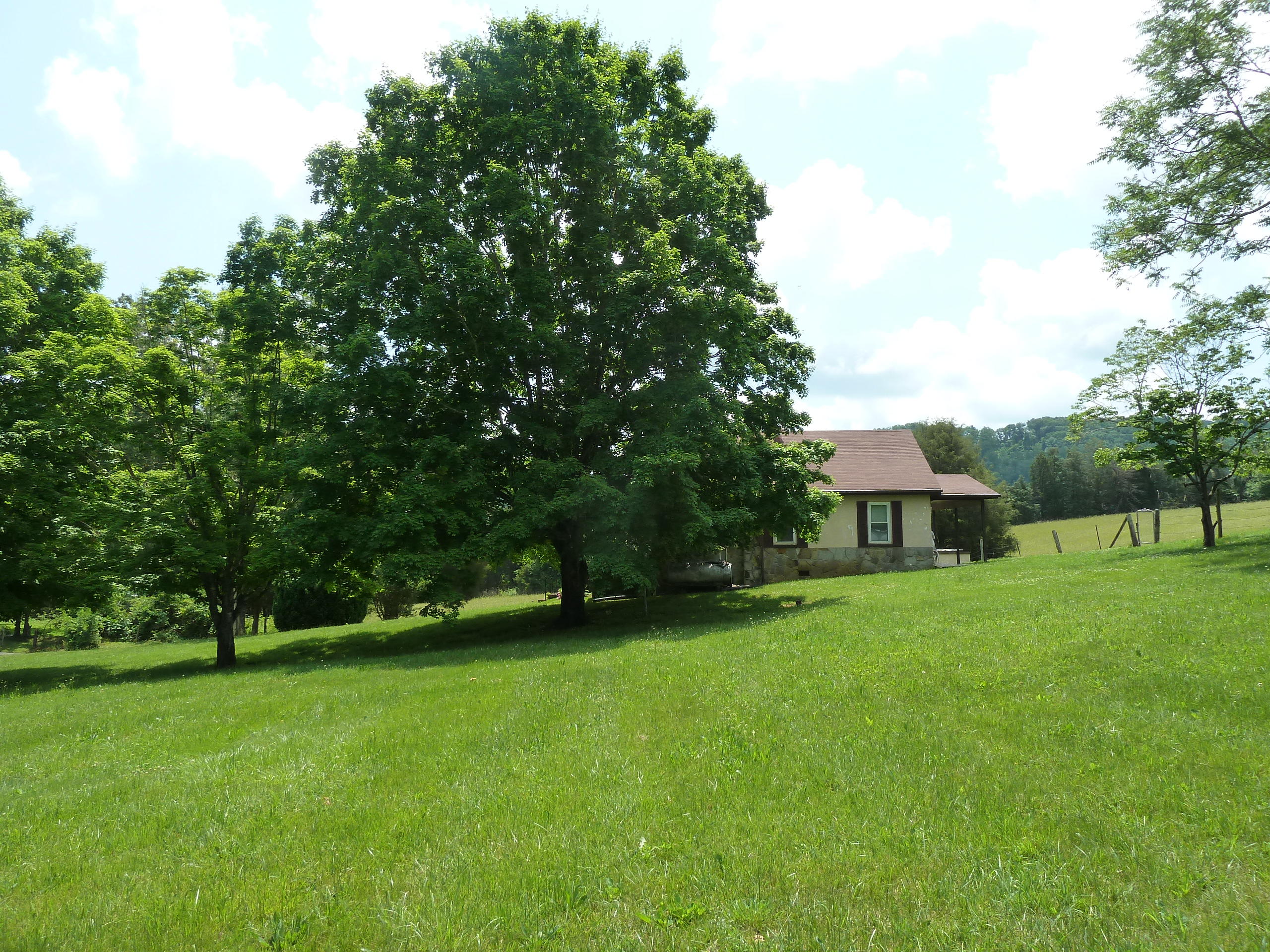 4317 Shipe Road Corryton, TN 37721 - Photo 14 of 14 P1210901