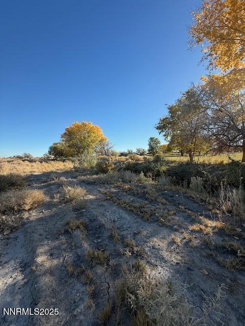 4050 Schindler Road Fallon, NV 89406 - Photo 15 of 27 a view of a dry yard