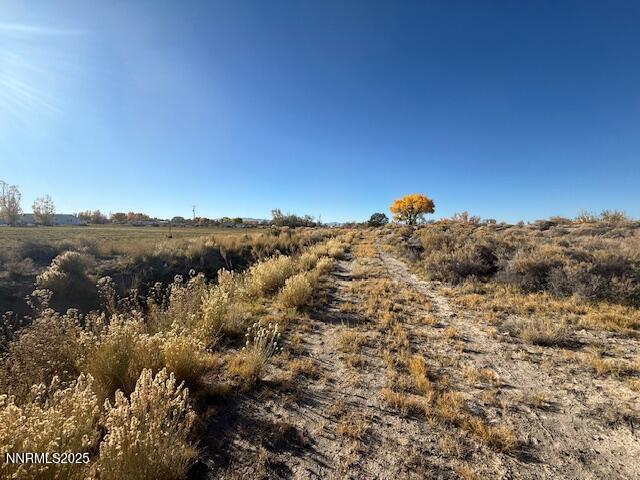 4050 Schindler Road Fallon, NV 89406 - Photo 16 of 27 a view of a bunch of trees in a field