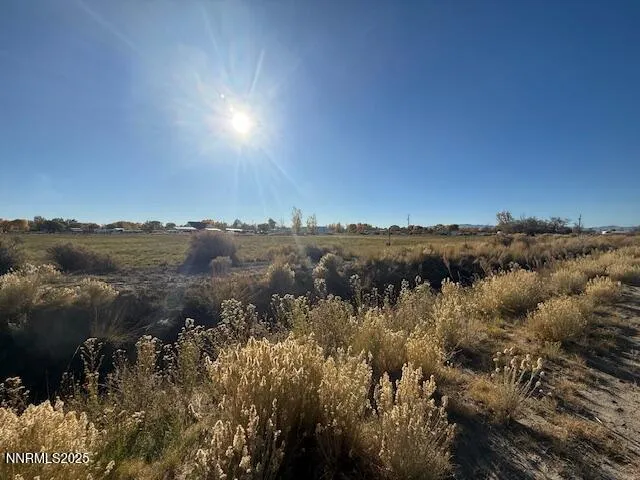 a view of a lake in between two of trees