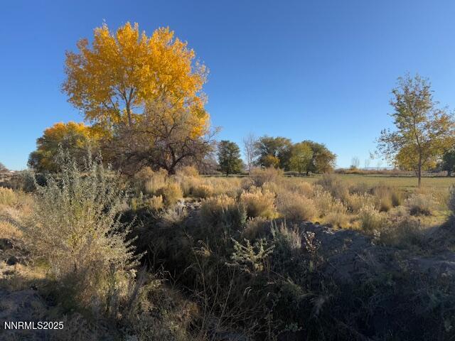 4050 Schindler Road Fallon, NV 89406 - Photo 19 of 27 a view of a lake in between two of trees