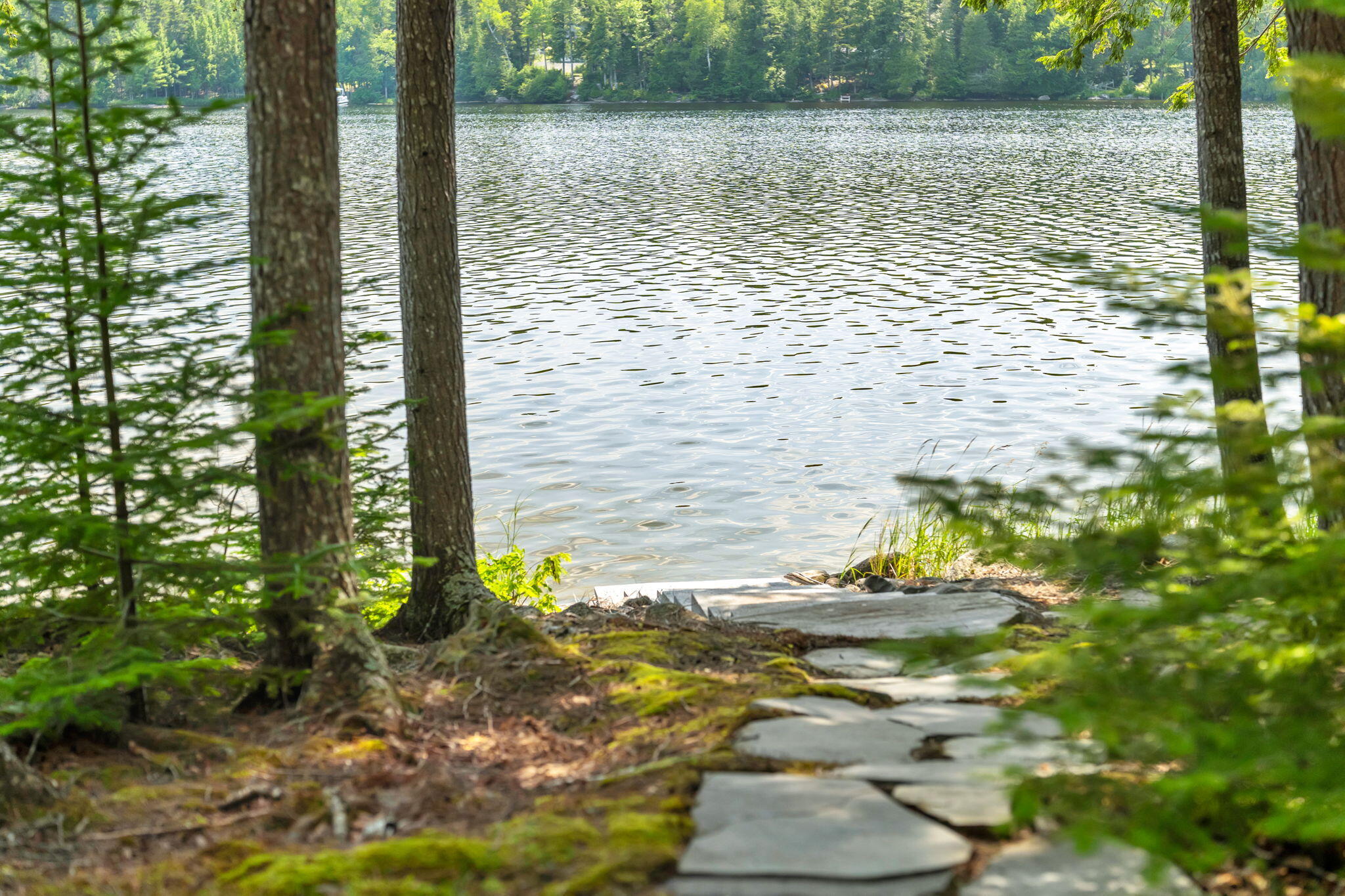 411 Tim's Cove Road Willimantic, ME 04443 - Photo 8 of 79 29-web-or-mls-411-tims-cove-rd