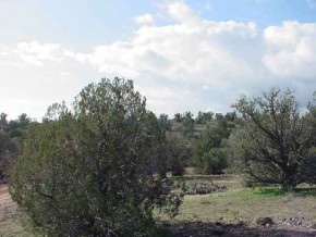 Gold Road Kingman, AZ 86401 - Photo 2 of 4 Additional Photo