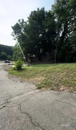 a view of a tree with a yard